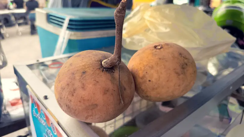 Santol Krathon: the Thai tropical fruit conquering global fusion cuisine